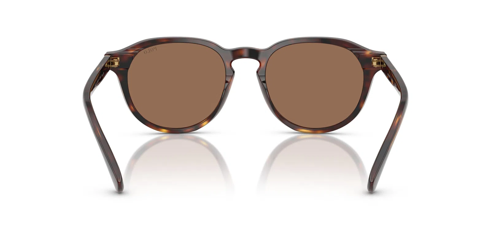 Polo 4221 Sunglasses - view 21
